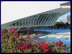 City of Arts and Sciences 106 - El Palau de les Arts Reina Sofía, the opera house.